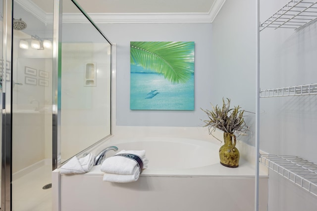 bathroom featuring crown molding and plus walk in shower