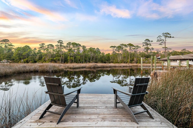 dock area featuring a water view