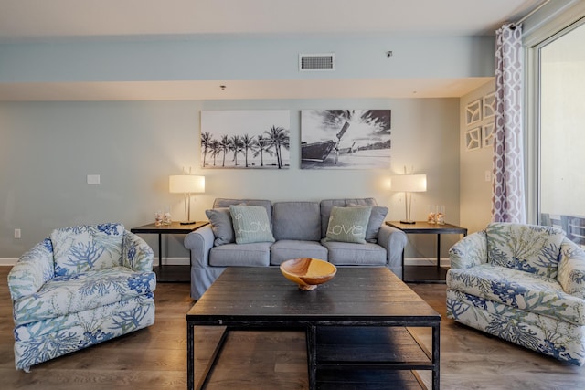 living room with hardwood / wood-style flooring and a wealth of natural light