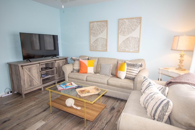 living area featuring dark wood-type flooring