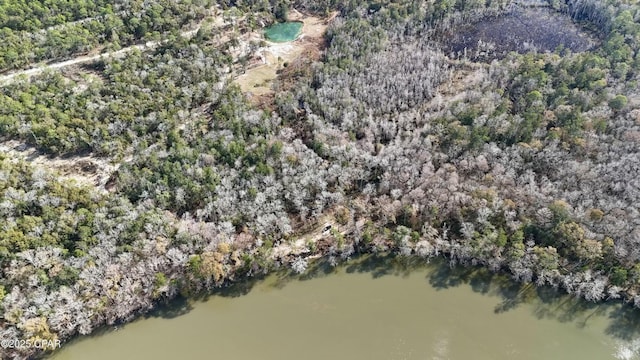 000 Strickland Rd, Ebro FL, 32437 land for sale