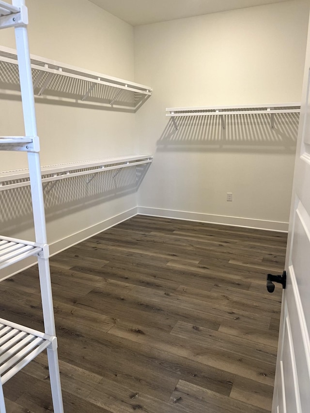 spacious closet featuring wood finished floors