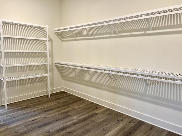 spacious closet featuring dark wood-type flooring