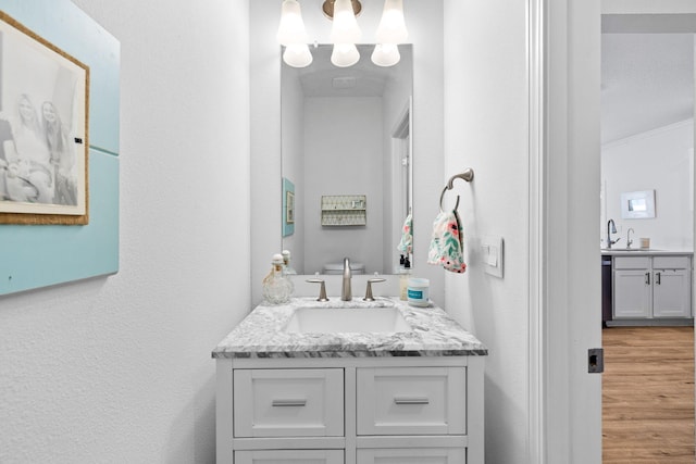 bathroom with vanity and wood-type flooring