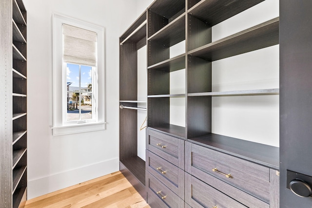 spacious closet with wood-type flooring