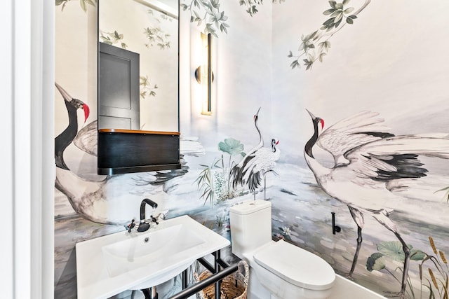 bathroom featuring sink and toilet