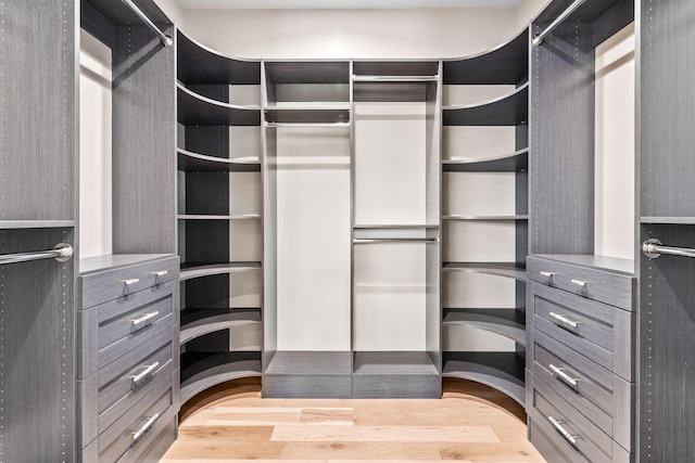 spacious closet with hardwood / wood-style floors