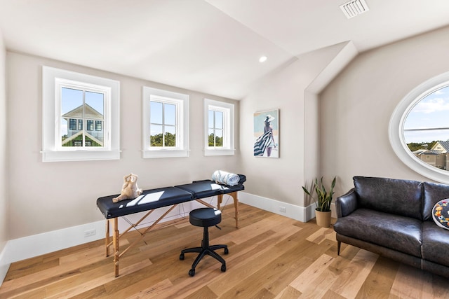 office space featuring plenty of natural light, vaulted ceiling, and light wood-type flooring