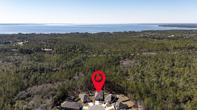 bird's eye view with a water view and a wooded view