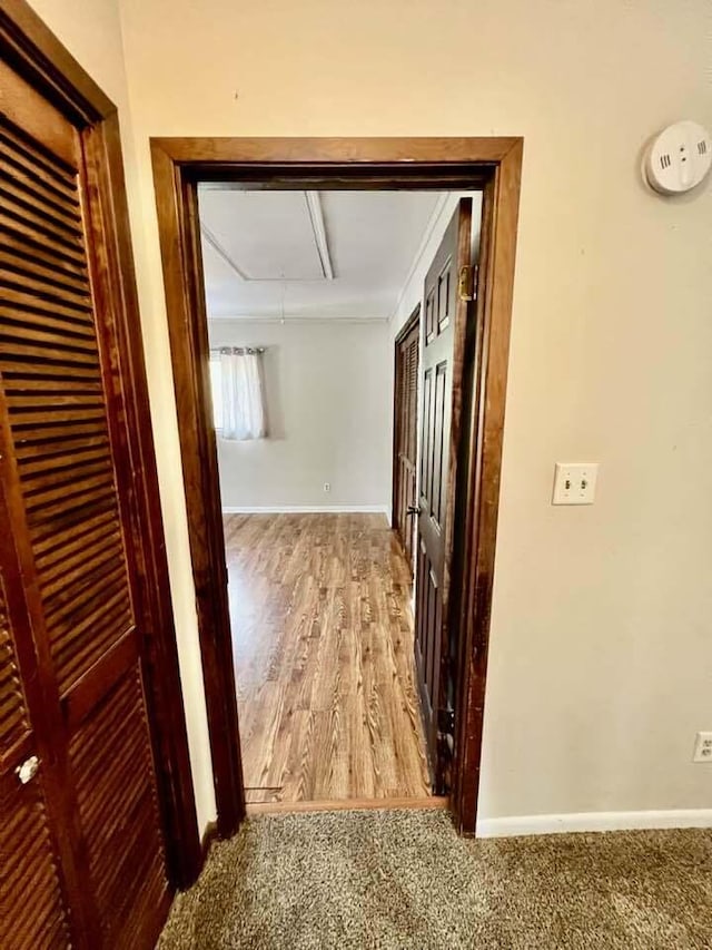 corridor featuring carpet floors, attic access, and baseboards