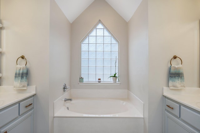 bathroom with vanity, a wealth of natural light, and a bathing tub