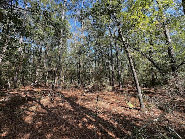 TBD Turkey Trail, Milton FL, 32583 land for sale