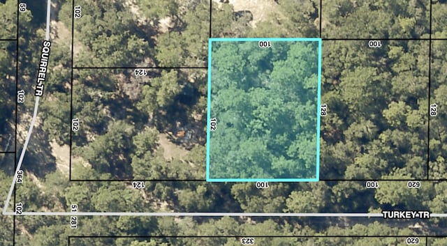 Listing photo 2 for TBD Turkey Trail, Milton FL 32583