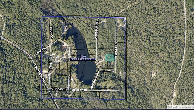TBD Turkey Trail, Milton, FL 32583