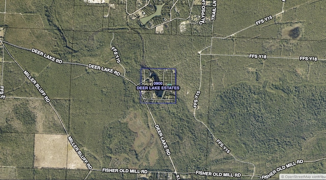 TBD Turkey Trail, Milton, FL 32583