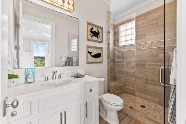 bathroom with vanity, an enclosed shower, and toilet