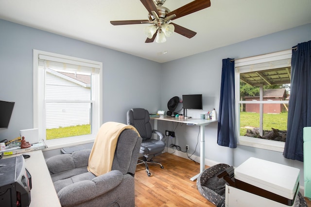 office with plenty of natural light, ceiling fan, and light hardwood / wood-style flooring