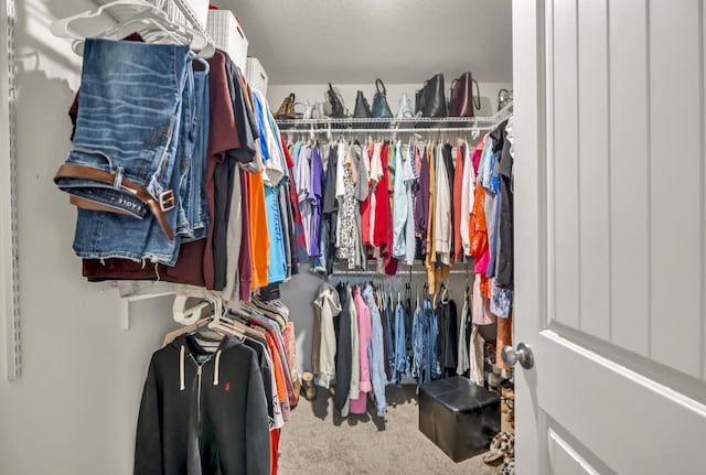 walk in closet with carpet flooring