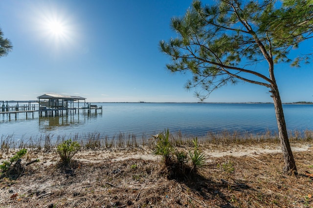 dock area with a water view