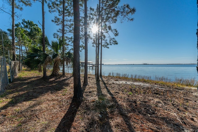 property view of water