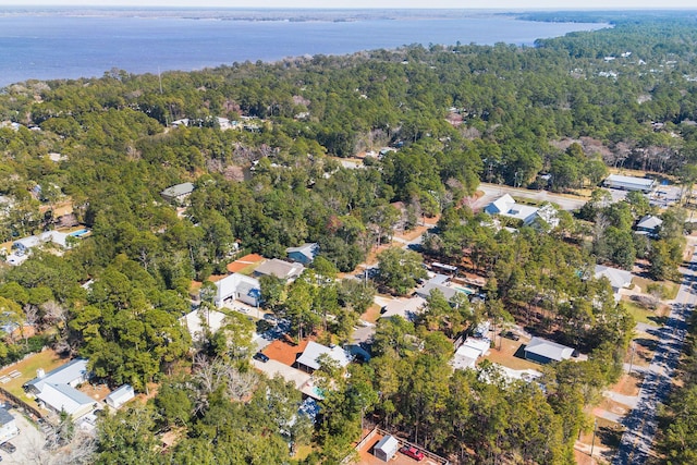 drone / aerial view with a residential view, a water view, and a wooded view