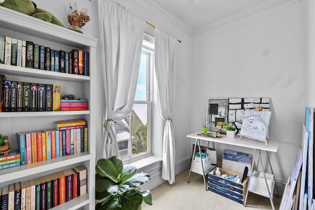 carpeted office featuring ornamental molding and a wealth of natural light