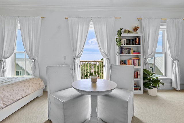 bedroom with carpet flooring and crown molding