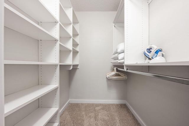 117 Hibiscus Ave, Gulf Breeze, FL 32561 - spacious closet featuring light carpet
