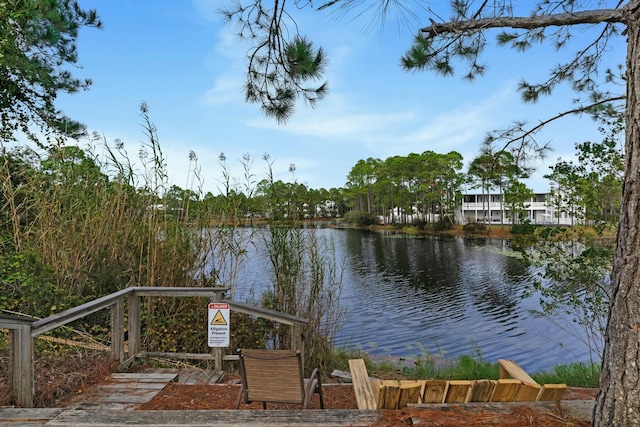 property view of water