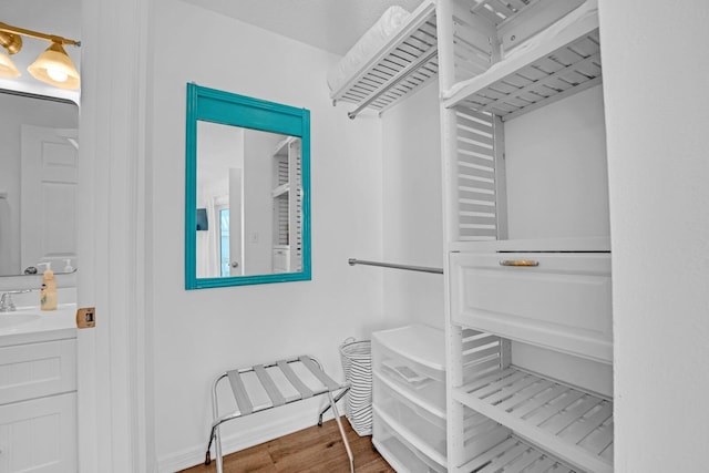 walk in closet featuring hardwood / wood-style flooring and sink