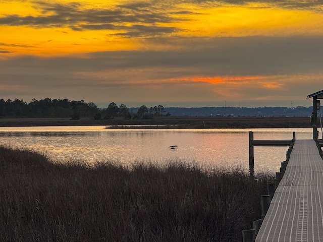 water view featuring a boat dock