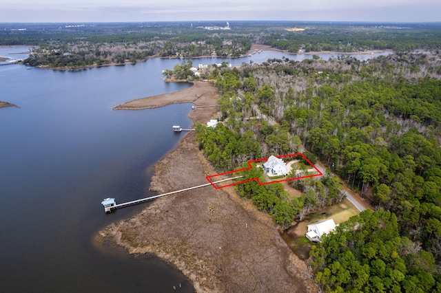 bird's eye view featuring a water view and a wooded view