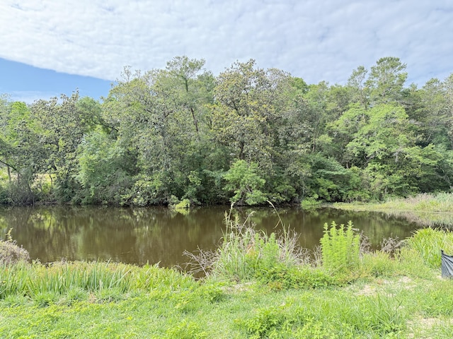 1720 25th St, Niceville, FL 32578 - water view featuring a heavily wooded area