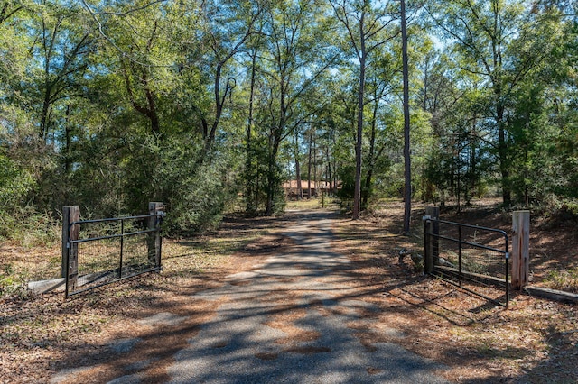 view of road with driveway, a gated entry, and a gate