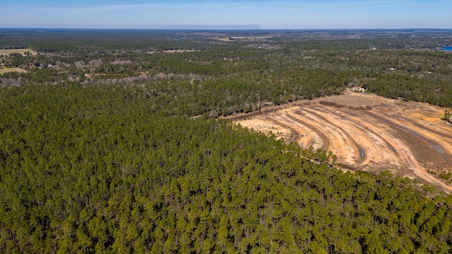 aerial view with a wooded view