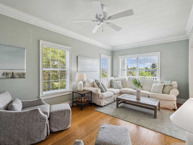 24 High Tide Way, Inlet Beach, FL 32461 - living room featuring ornamental molding, light wood-type flooring, a ceiling fan, and baseboards