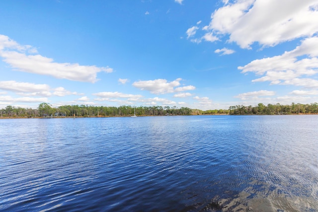 105 Oyster Blvd, Freeport, FL 32439 - view of water feature