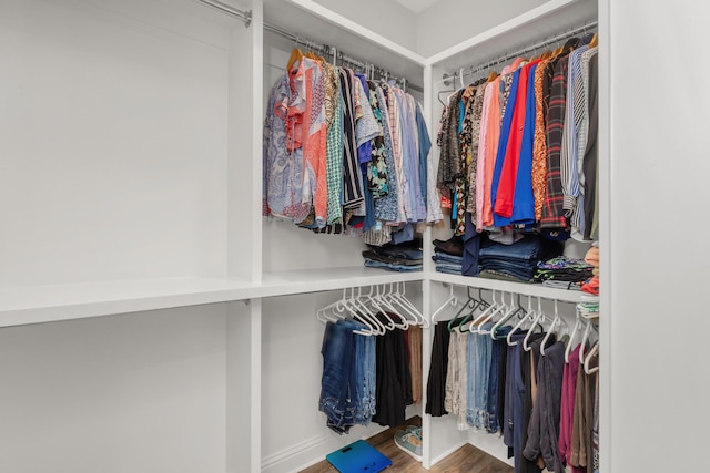 105 Oyster Blvd, Freeport, FL 32439 - spacious closet featuring wood finished floors