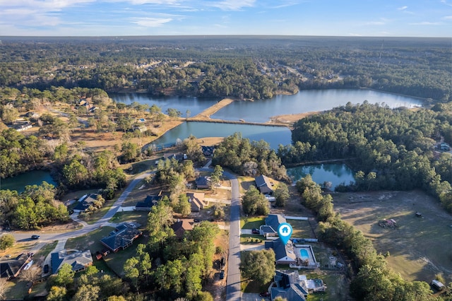 bird's eye view featuring a forest view and a water view