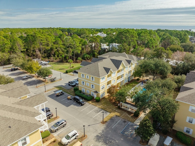 drone / aerial view