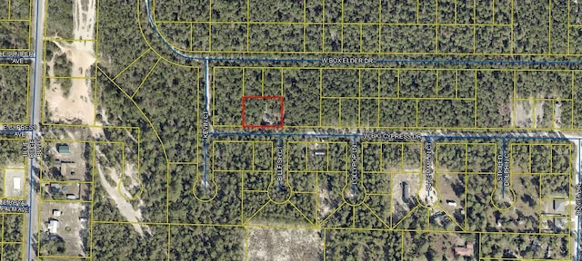 LOT52 W Big Cypress Dr, Defuniak Springs FL, 32433 land for sale