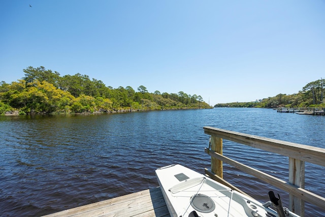 61 Blue Lake Rd, Santa Rosa Beach, FL 32459 - photo 46