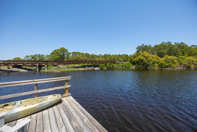 61 Blue Lake Rd, Santa Rosa Beach, FL 32459 - photo 47