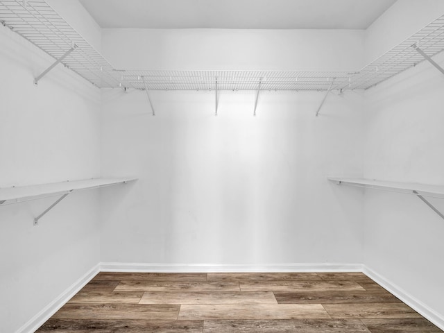 walk in closet with hardwood / wood-style floors