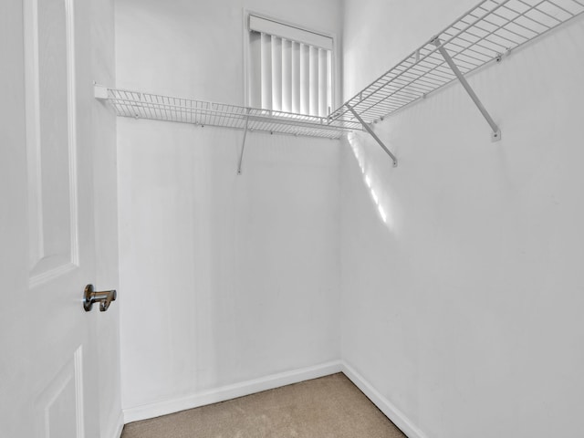 walk in closet featuring carpet floors