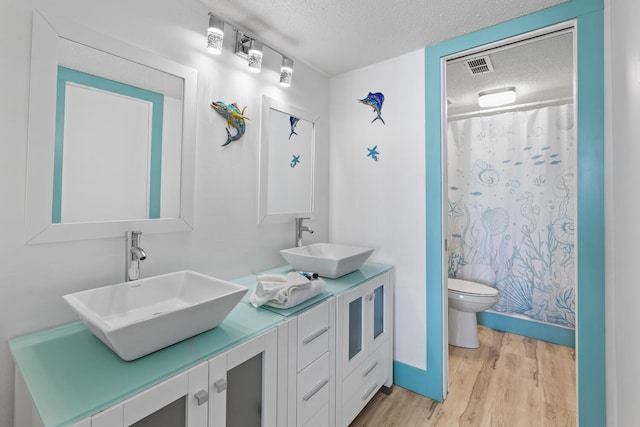 full bathroom with double vanity, a textured ceiling, toilet, and a sink