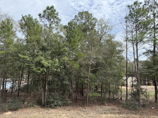 Listing photo 2 for TBD Owens Rd, Defuniak Springs FL 32433