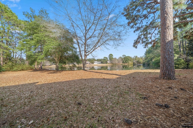 view of yard with a water view