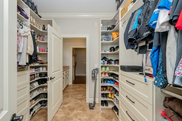 view of spacious closet