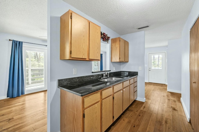 100 Rachel Rd, Santa Rosa Beach, FL 32459 - photo 10